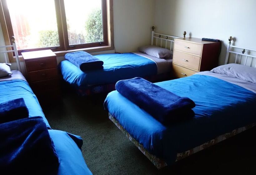 Cama en Habitación Compartida, Big Tree Lodge Methven