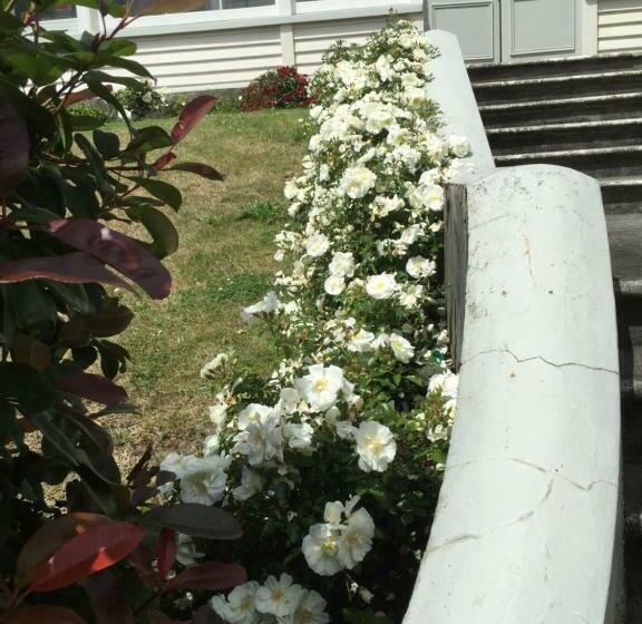 اتاق استاندارد, Bnb At Bidwill