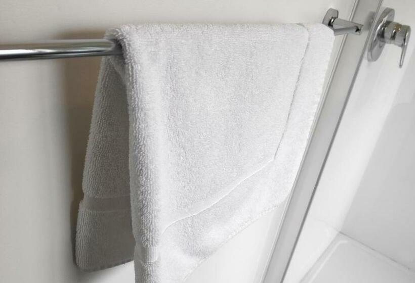 이그제큐티브 스튜디오, Drury Motor Lodge