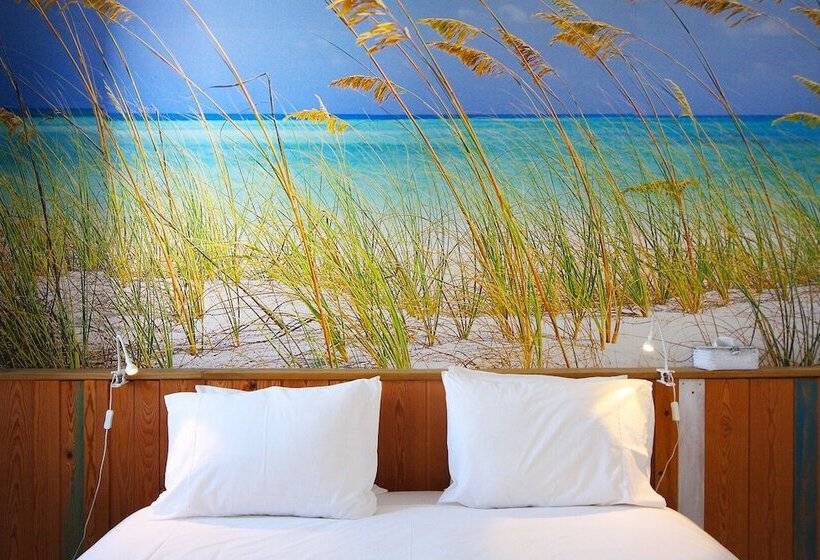 اتاق استاندارد با سرویس بهداشتی مشترک, Aloha Beach House H