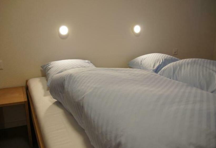 经济房, Schwendihaus