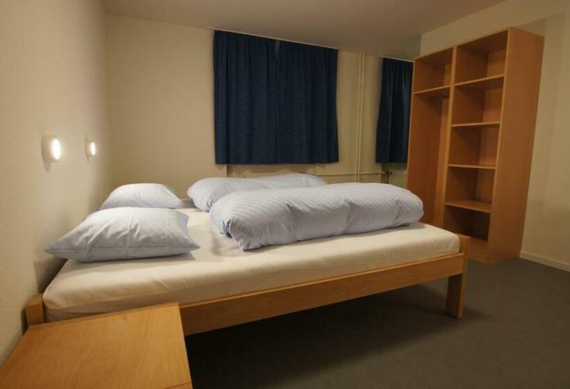 经济房, Schwendihaus