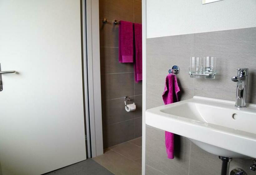 经济房, Schwendihaus