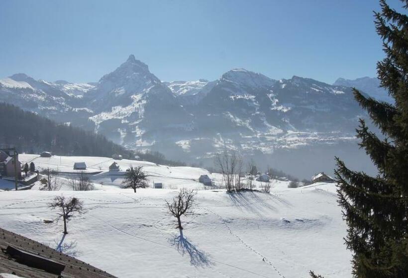 经济房, Schwendihaus