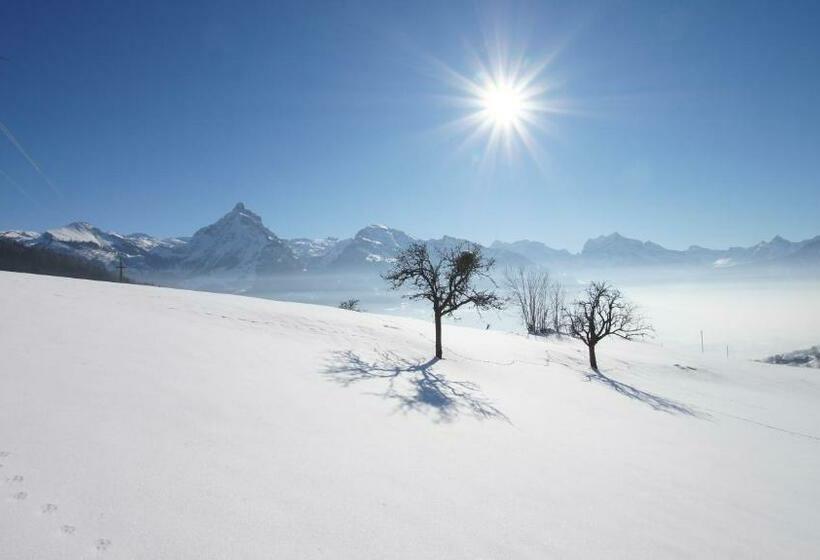 经济房, Schwendihaus