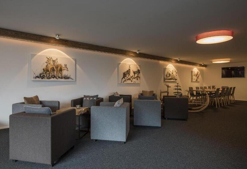 اتاق استاندارد یک نفره, Berghotel Tgantieni