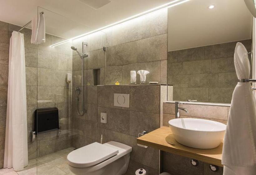 غرفة قياسية, Berghotel Tgantieni