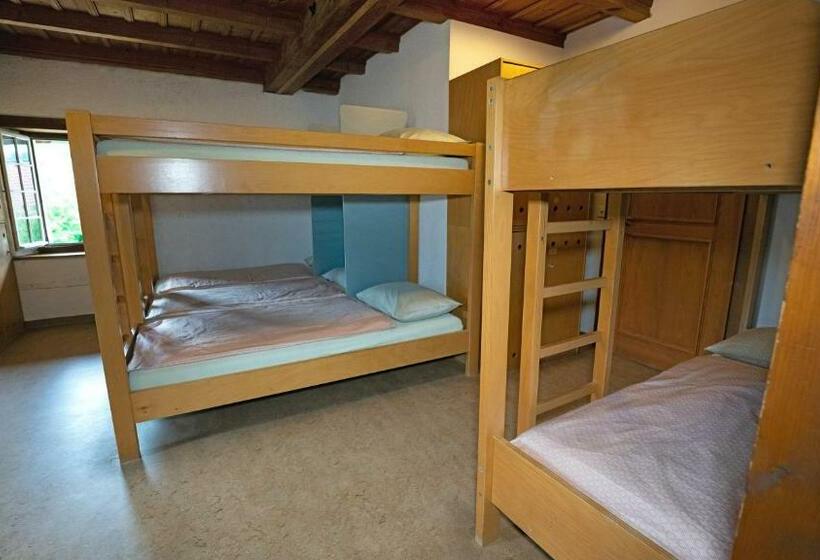 מיטה בחדר משותף, Brugg Youth Hostel