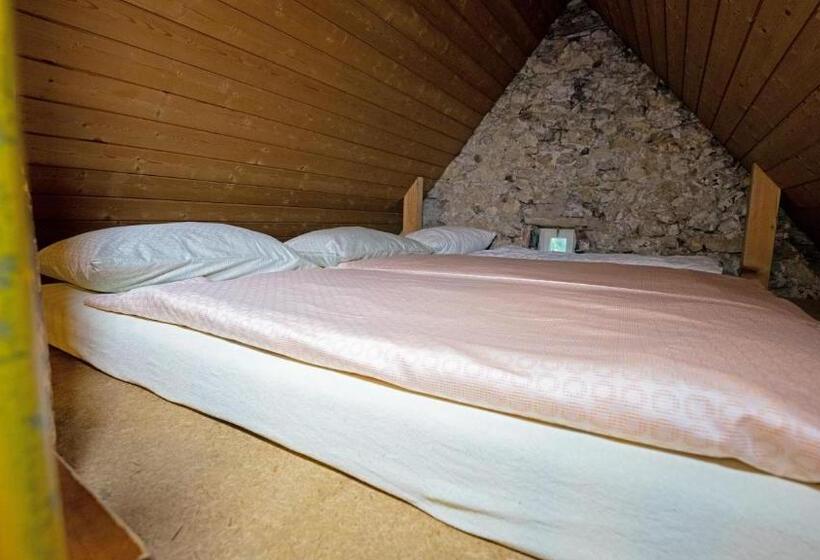 מיטה בחדר משותף, Brugg Youth Hostel