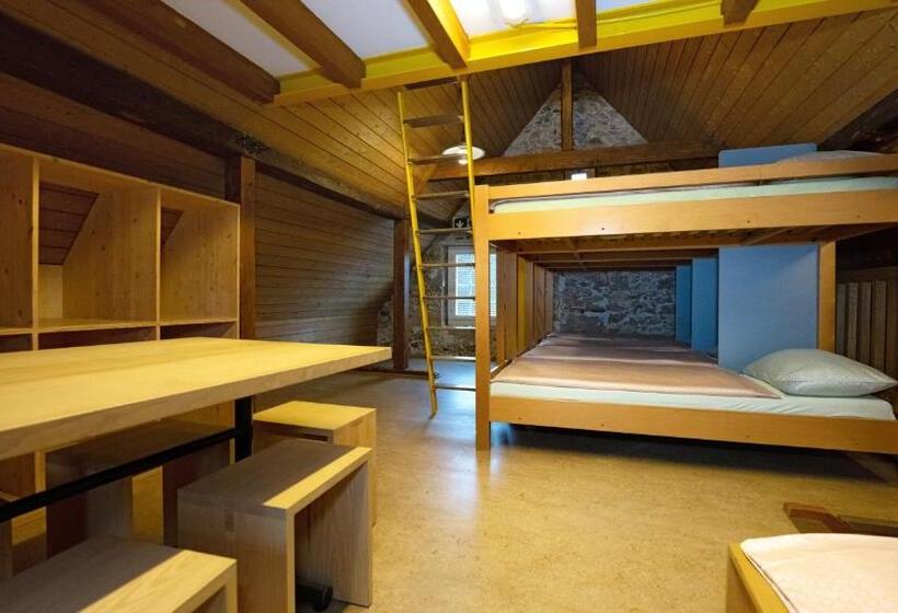 ルームシェアのワンベッド, Brugg Youth Hostel
