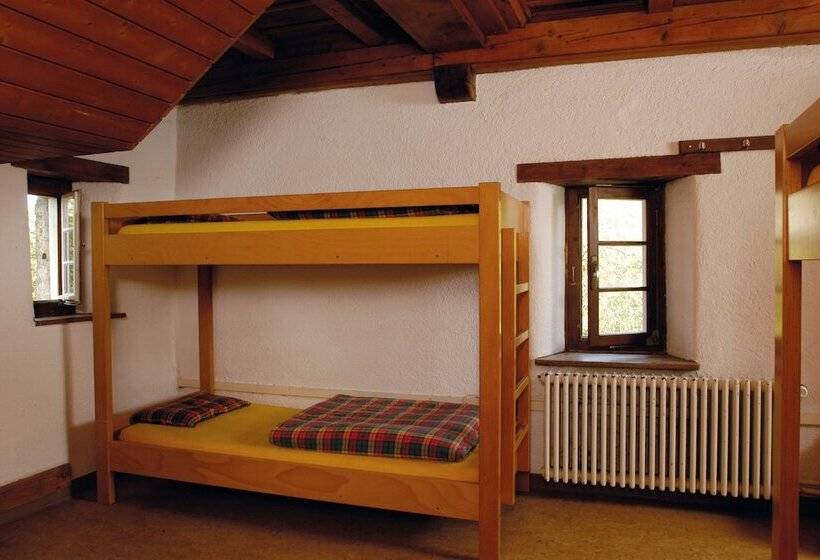 חדר סטנדרטי לארבעה עם חדר אמבטיה משותף, Brugg Youth Hostel