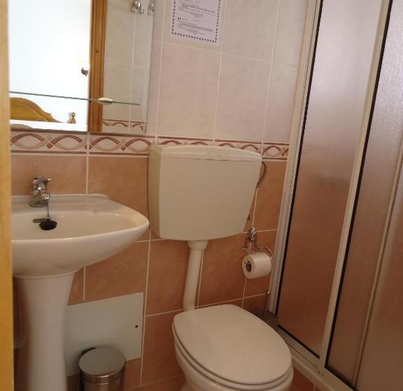 标准单人间, Aviz