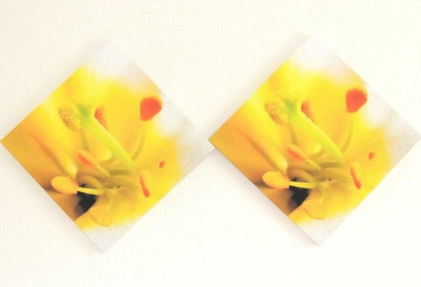 マウンテンビュースタンダードルーム, Bz Sunnahof