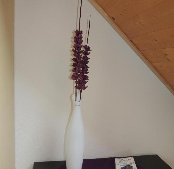 マウンテンビュースタンダードルーム, Bz Sunnahof