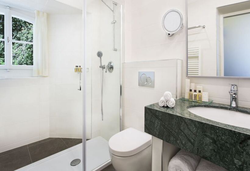 Номер Superior, Chateau De Bonmont