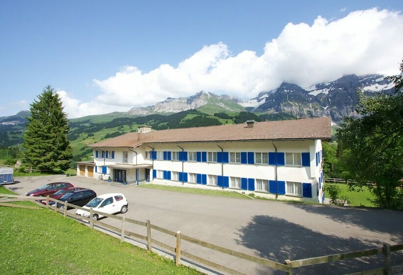 スタンダードルーム, Crea