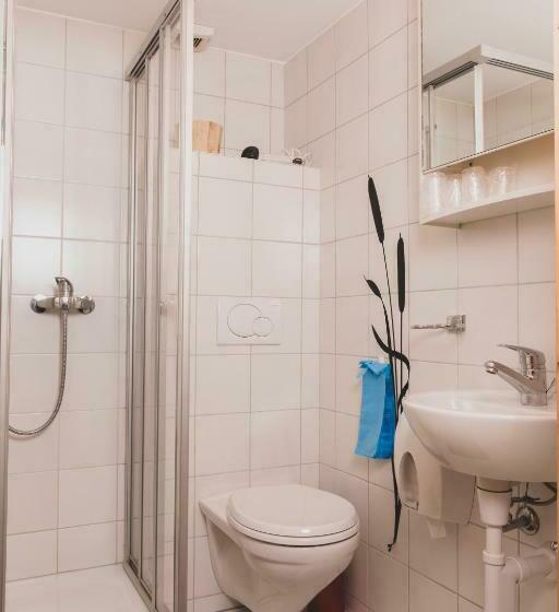 Номер Стандарт, Hôtel Le Besso   Swiss Romantic Lodge Zinal