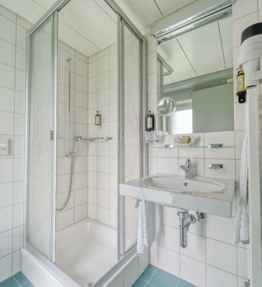 Standardeinzelzimmer, Hôtel Le Funi De Cossonay