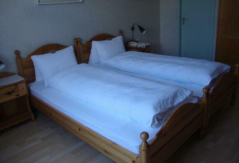 标准间, Krone Gais