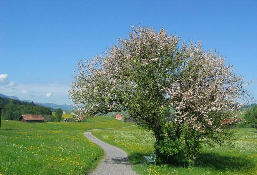 标准间, Krone Gais