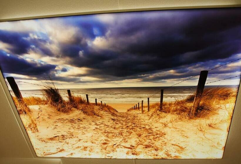 コンフォートルーム, Rauw Aan De Kade