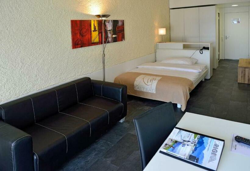 חדר סטנדרט יחיד, Rigi Kaltbad Swiss Quality