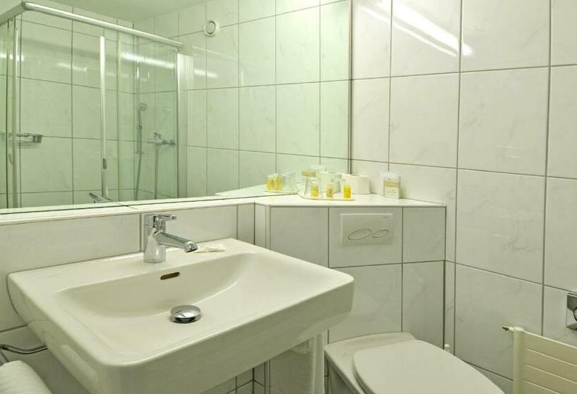 חדר סטנדרט יחיד, Rigi Kaltbad Swiss Quality