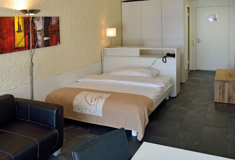 חדר סטנדרט יחיד, Rigi Kaltbad Swiss Quality