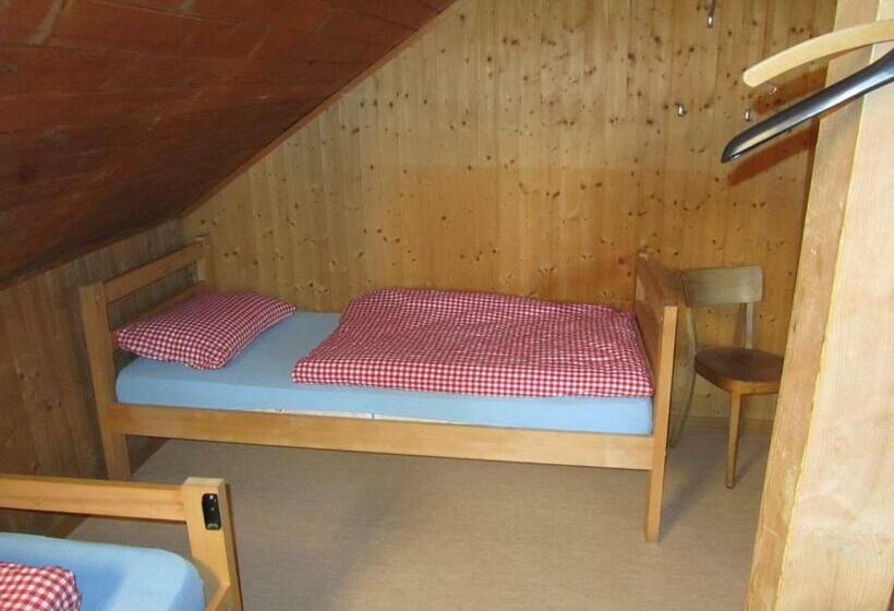 Номер Стандарт Четырехместный Совместный Санузел, Jugendherberge Hospental