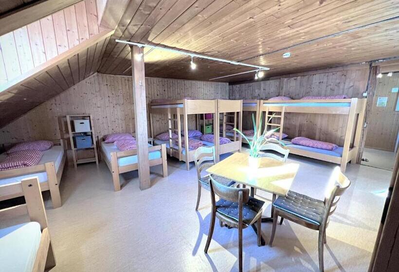 Кровать в Многоместном Номере с Общей Ванной, Jugendherberge Hospental