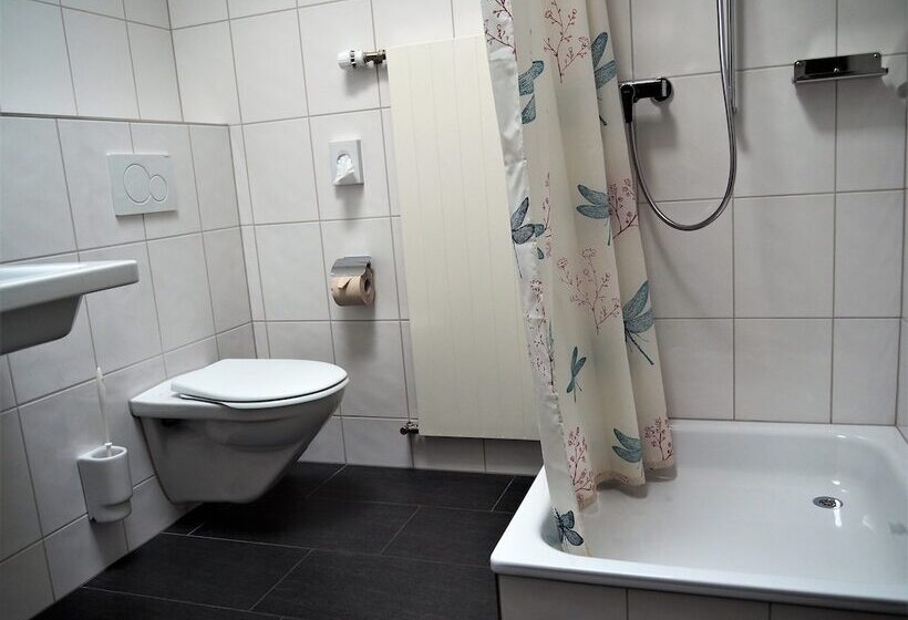 חדר סטנדרט לארבעה, Jugendherberge Romanshorn