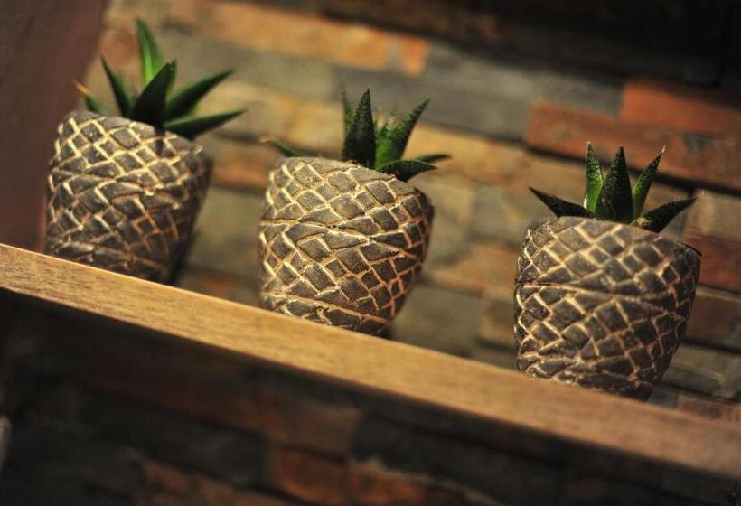 إستوديو ديلوكس, Agapanthus Bed And Breakfast