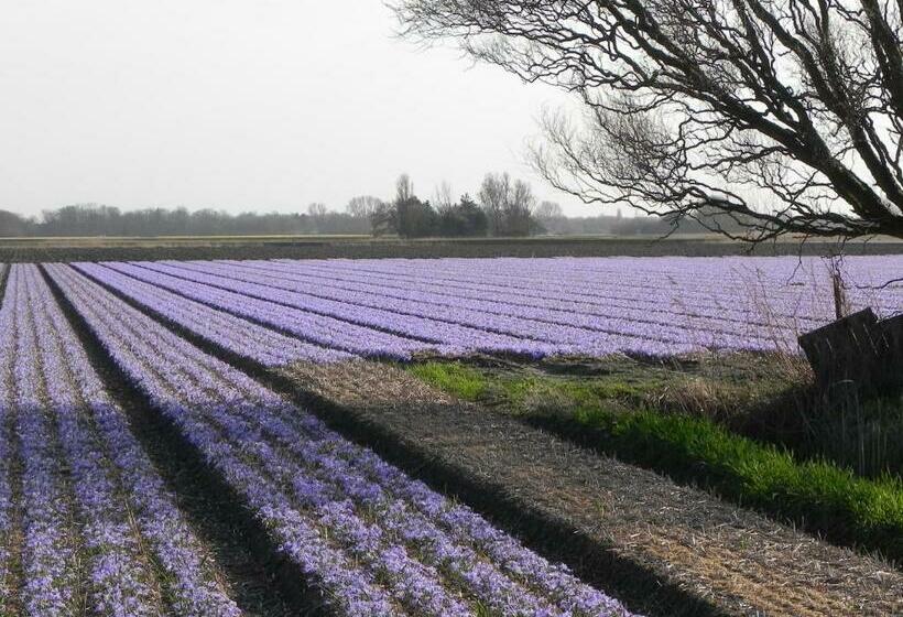 标准间, Appels En Peren Bed And Breakfast