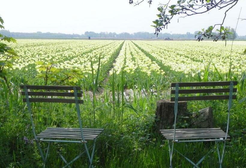 标准间, Appels En Peren Bed And Breakfast