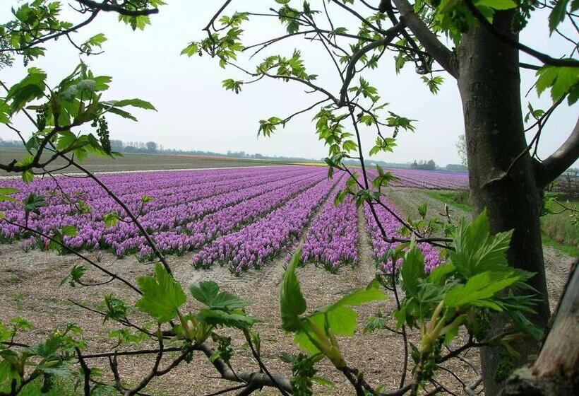 标准间, Appels En Peren Bed And Breakfast