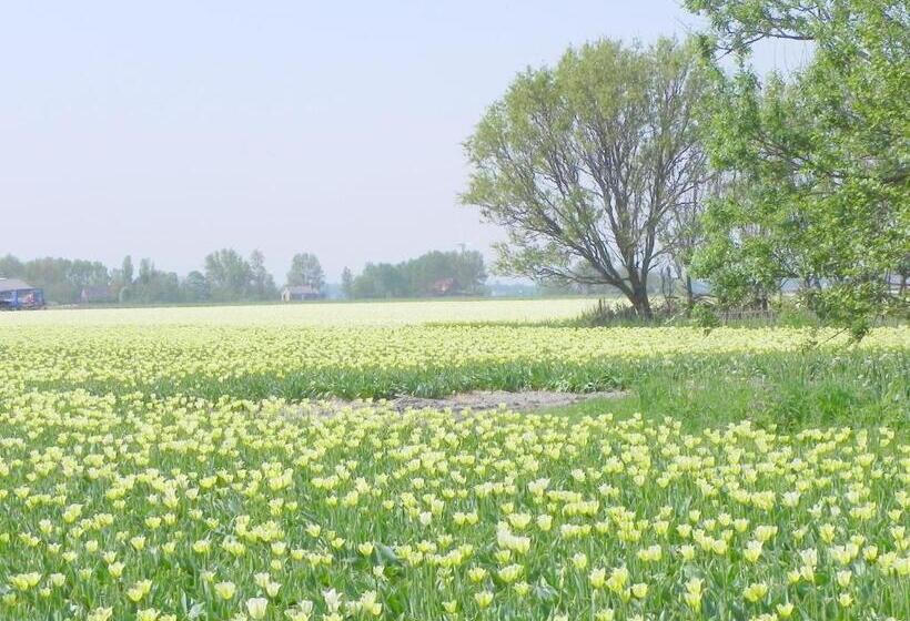 标准间, Appels En Peren Bed And Breakfast