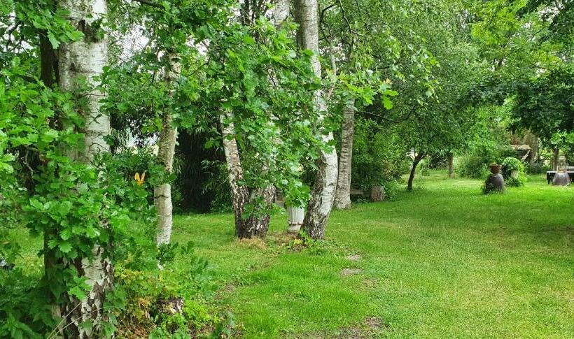 １ベッドルームハウス, Art, Bed & Breakfast