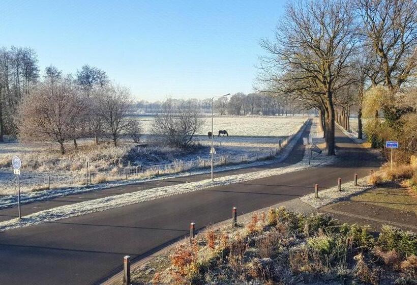 １ベッドルームハウス, Art, Bed & Breakfast