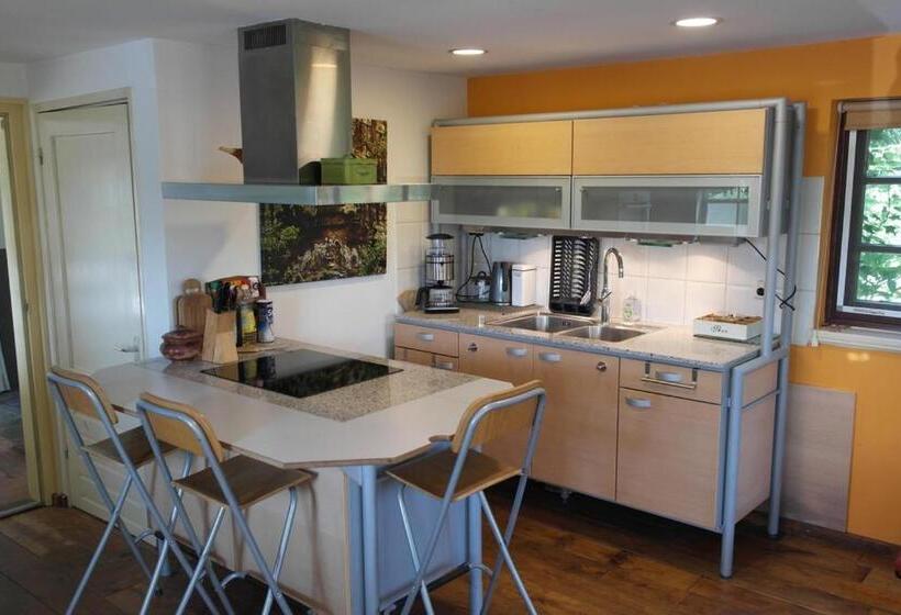 １ベッドルームハウス, Art, Bed & Breakfast