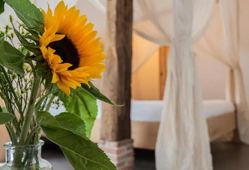 Sviitti, De Vijf Suites