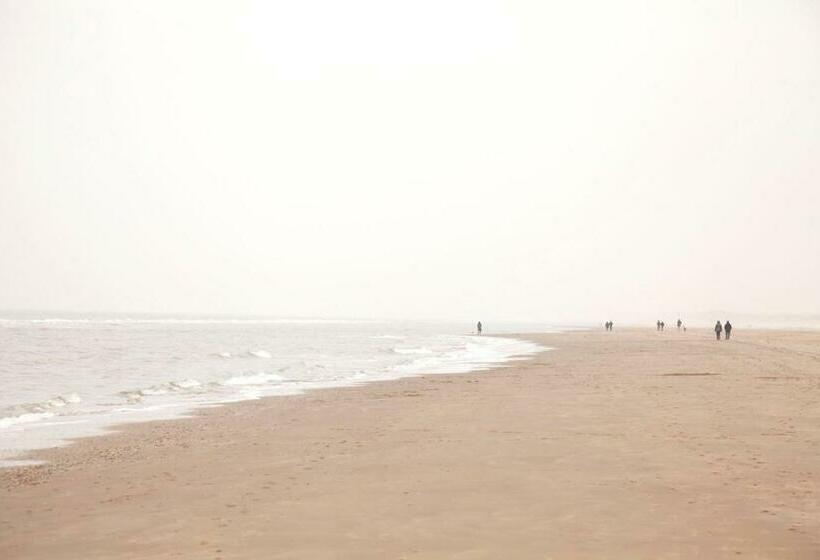 Студия Стандарт, In De Aap   Appartementen & Guesthouse