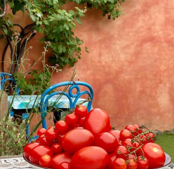 Студия Стандарт, In De Aap   Appartementen & Guesthouse