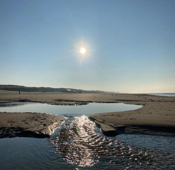 Студия Стандарт, In De Aap   Appartementen & Guesthouse