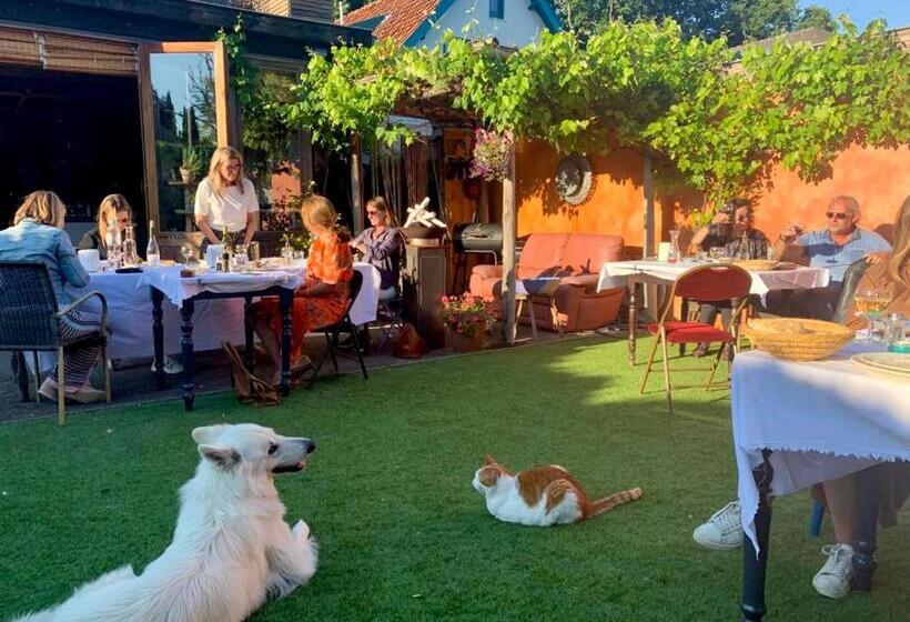 Студия Стандарт, In De Aap   Appartementen & Guesthouse