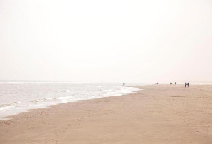 Апартаменты 2 Спальни, In De Aap   Appartementen & Guesthouse