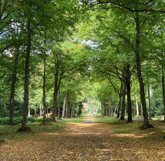 Апартаменты 2 Спальни, In De Aap   Appartementen & Guesthouse