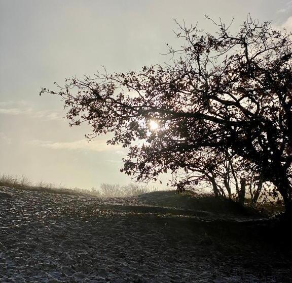 Апартаменты 2 Спальни, In De Aap   Appartementen & Guesthouse