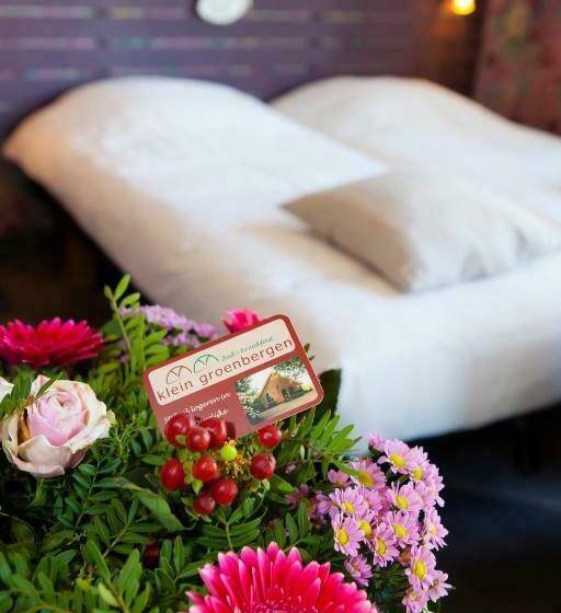 חדר סטנדרט, Bed And Breakfast Klein Groenbergen