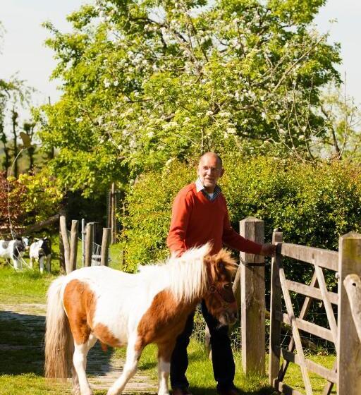 חדר סטנדרט, Bed And Breakfast Klein Groenbergen