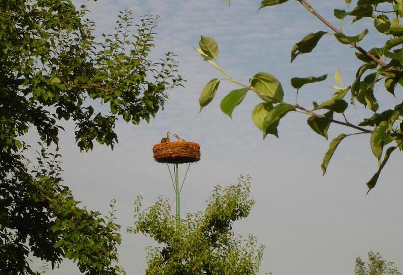 חדר סטנדרט, Bed And Breakfast Klein Groenbergen